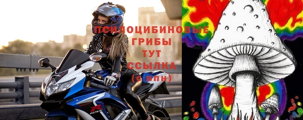 стафф Алексеевка