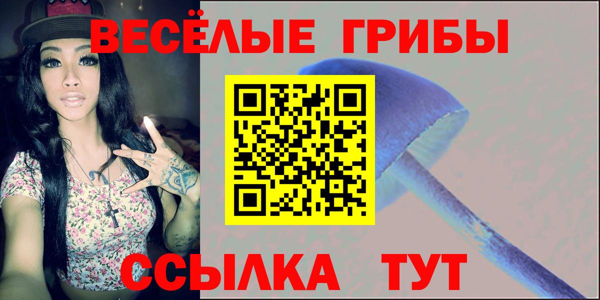 Псилоцибиновые грибы прущие грибы  Вход с VPN  магазин  наркотиков  Белгород  Псилоцибиновые грибы прущие грибы 