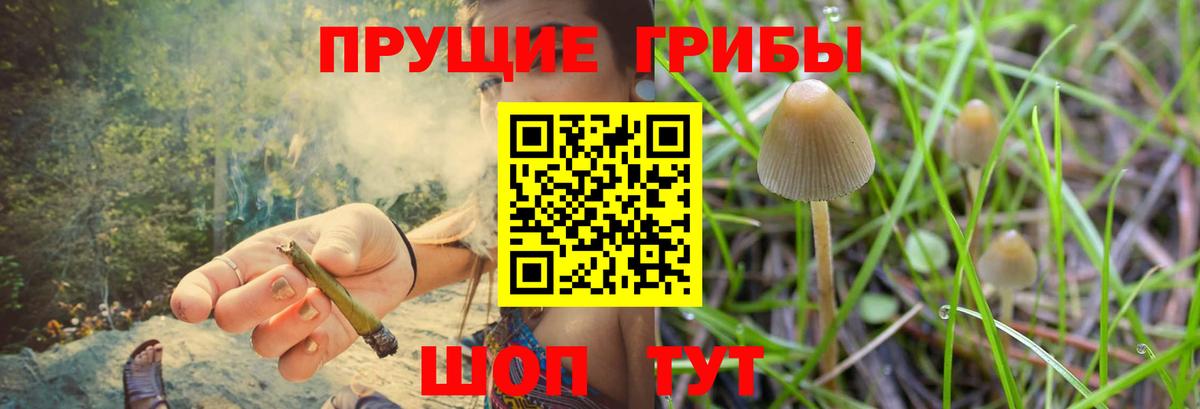 Псилоцибиновые грибы мухоморы Белгород